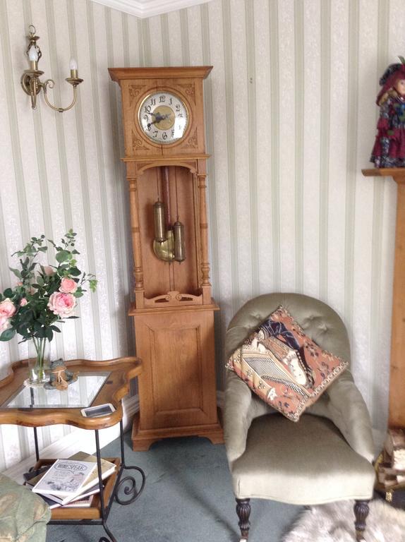 באלה Frondderw Country House Bed & Breakfast מראה חיצוני תמונה